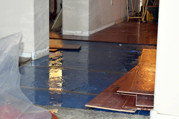 Professional Flood Damage Repair technician working in Rumford, RI
